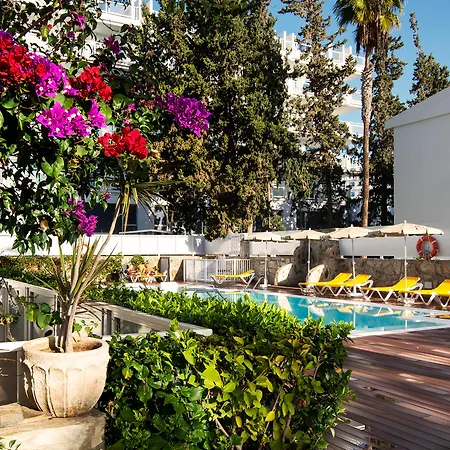 Apartman Montemayor *